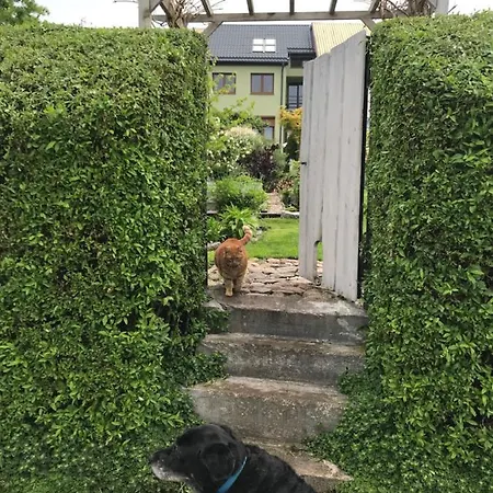 Pod Niebieskim Pagajem *