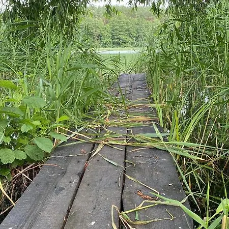 Pod Niebieskim Pagajem