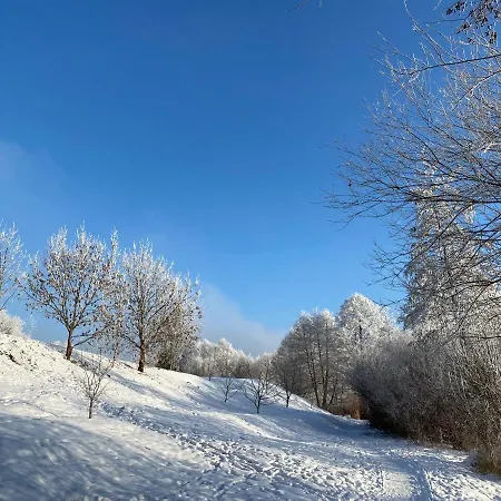 Pod Niebieskim Pagajem *